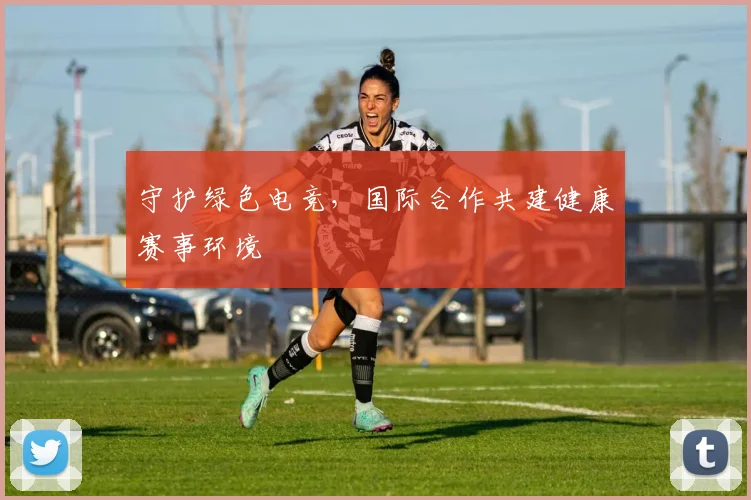 守护绿色电竞，国际合作共建健康赛事环境